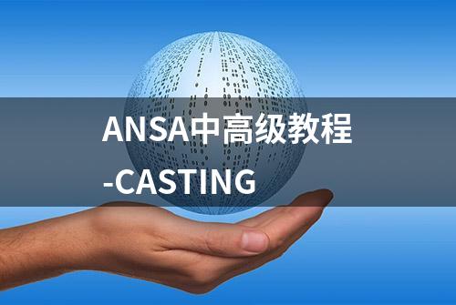 ANSA中高级教程-CASTING