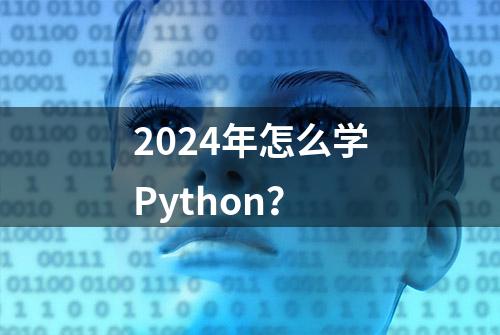 2024年怎么学Python？