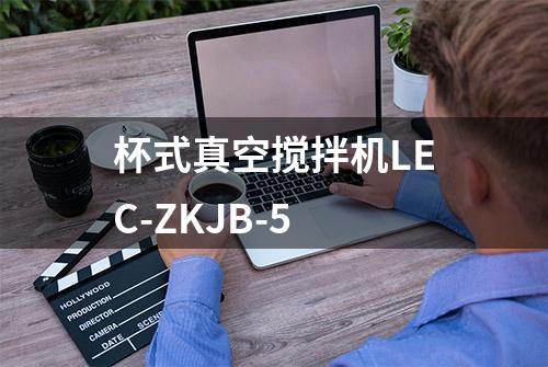 杯式真空搅拌机LEC-ZKJB-5