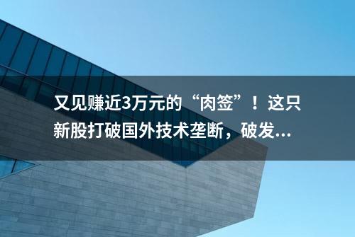 又见赚近3万元的“肉签”！这只新股打破国外技术垄断，破发风险如何？——新股雷达