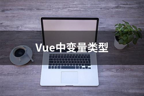 Vue中变量类型