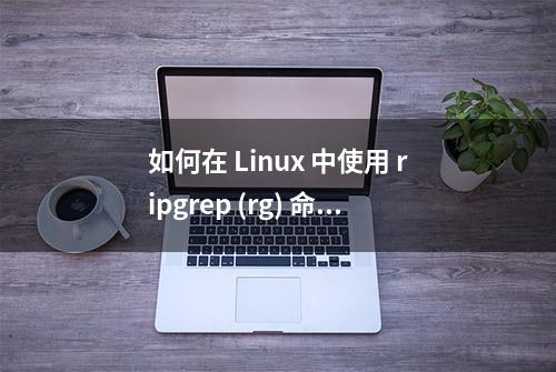 如何在 Linux 中使用 ripgrep (rg) 命令？