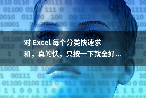 对 Excel 每个分类快速求和，真的快，只按一下就全好了