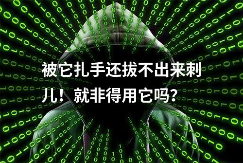 被它扎手还拔不出来刺儿！就非得用它吗？