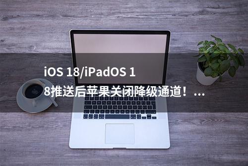 iOS 18/iPadOS 18推送后苹果关闭降级通道！iPad Pro除外