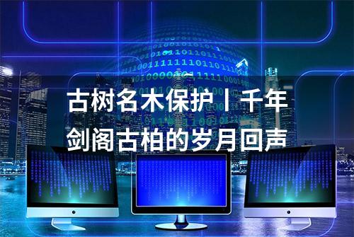 古树名木保护丨千年剑阁古柏的岁月回声