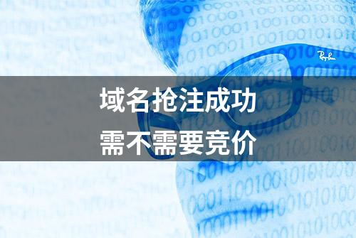 域名抢注成功需不需要竞价