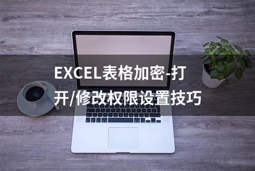 EXCEL表格加密-打开/修改权限设置技巧