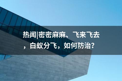 热闻|密密麻麻、飞来飞去，白蚁分飞，如何防治？