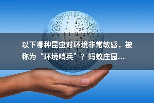 以下哪种昆虫对环境非常敏感，被称为“环境哨兵”？蚂蚁庄园今日答案最新10.3