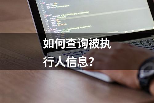 如何查询被执行人信息？