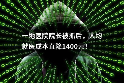 一地医院院长被抓后，人均就医成本直降1400元！