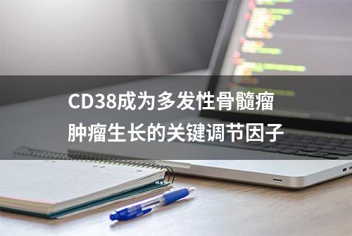 CD38成为多发性骨髓瘤肿瘤生长的关键调节因子