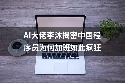 AI大佬李沐揭密中国程序员为何加班如此疯狂