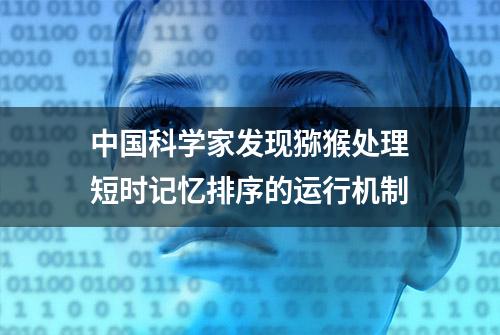 中国科学家发现猕猴处理短时记忆排序的运行机制