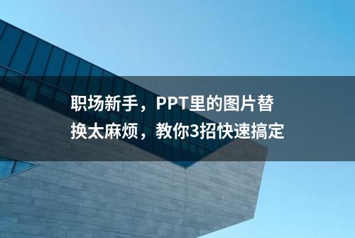 职场新手，PPT里的图片替换太麻烦，教你3招快速搞定