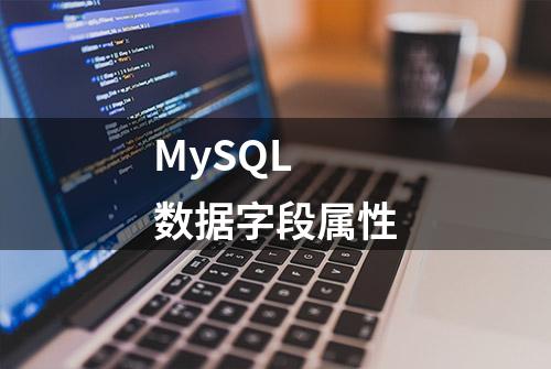 MySQL 数据字段属性