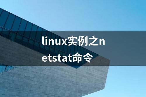 linux实例之netstat命令