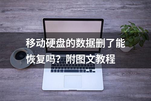 移动硬盘的数据删了能恢复吗？附图文教程