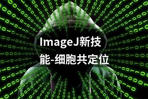 ImageJ新技能-细胞共定位