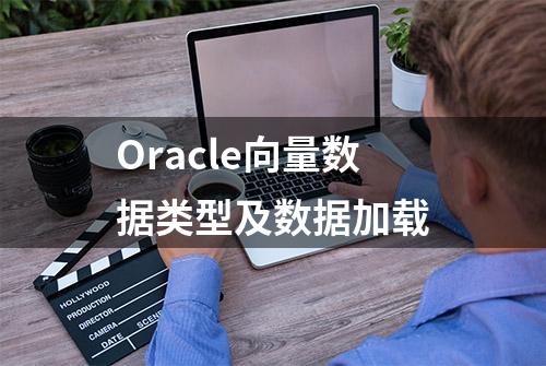 Oracle向量数据类型及数据加载