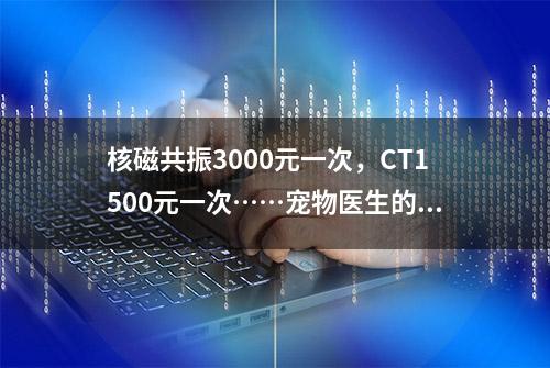 核磁共振3000元一次，CT1500元一次……宠物医生的一天这样度过