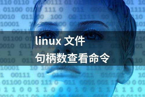 linux 文件句柄数查看命令