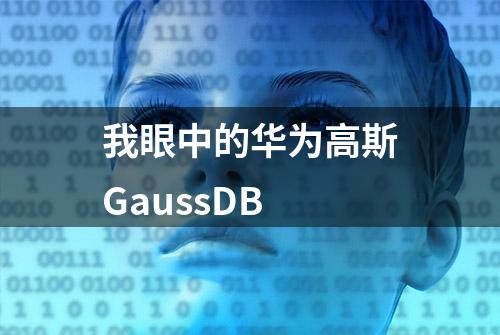 我眼中的华为高斯GaussDB