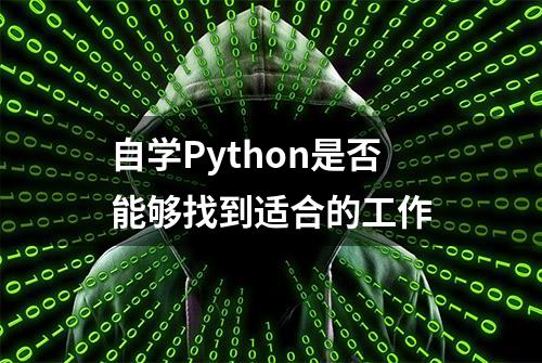 自学Python是否能够找到适合的工作