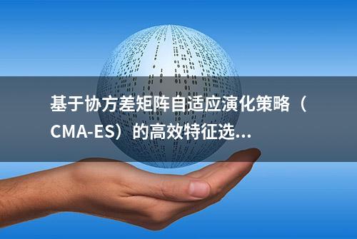 基于协方差矩阵自适应演化策略（CMA-ES）的高效特征选择