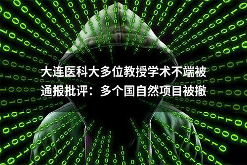 大连医科大多位教授学术不端被通报批评：多个国自然项目被撤