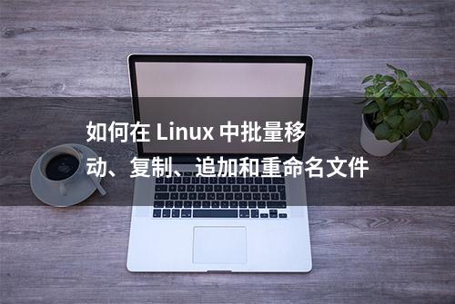 如何在 Linux 中批量移动、复制、追加和重命名文件