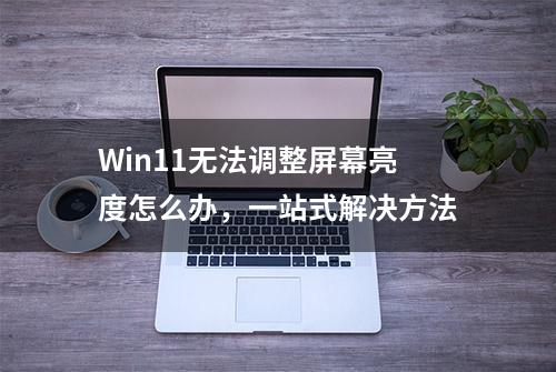 Win11无法调整屏幕亮度怎么办，一站式解决方法