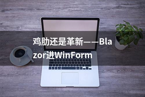 鸡肋还是革新——Blazor进WinForm