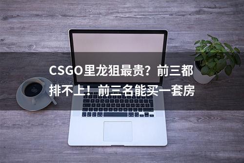 CSGO里龙狙最贵？前三都排不上！前三名能买一套房