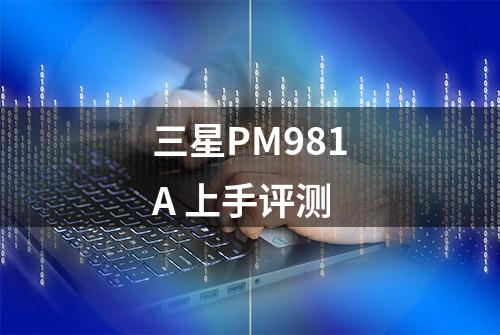 三星PM981A 上手评测