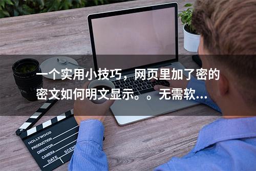 一个实用小技巧，网页里加了密的密文如何明文显示。。无需软件！