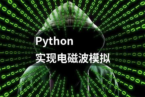 Python 实现电磁波模拟