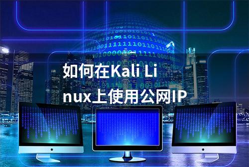 如何在Kali Linux上使用公网IP