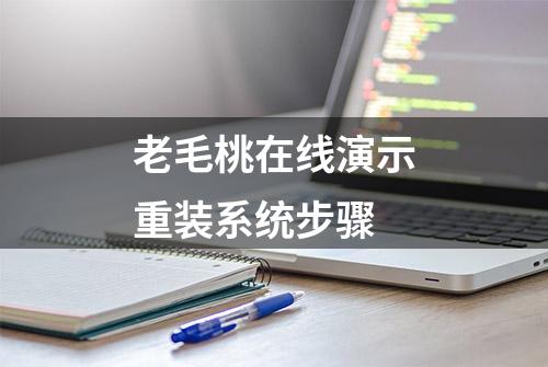 老毛桃在线演示重装系统步骤