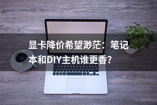 显卡降价希望渺茫：笔记本和DIY主机谁更香？