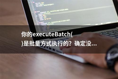 你的executeBatch()是批量方式执行的？确定没眼花吗？