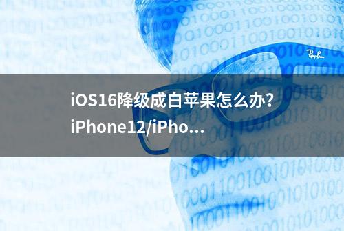 iOS16降级成白苹果怎么办？iPhone12/iPhone13白苹果教程