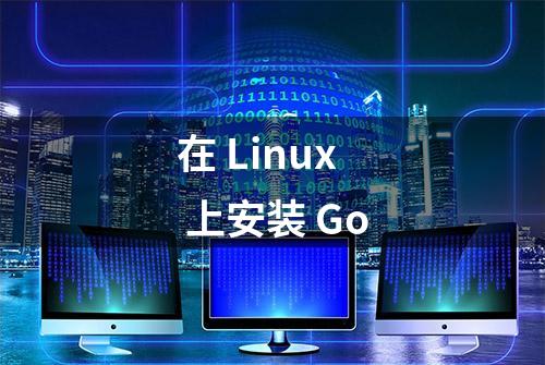 在 Linux 上安装 Go