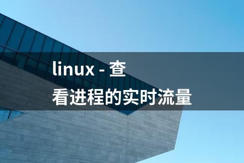 linux - 查看进程的实时流量