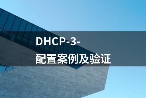 DHCP-3-配置案例及验证