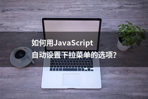 如何用JavaScript自动设置下拉菜单的选项？