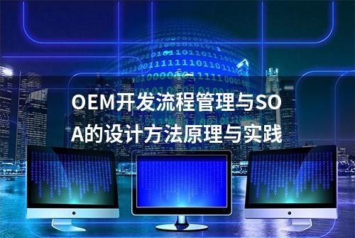 OEM开发流程管理与SOA的设计方法原理与实践