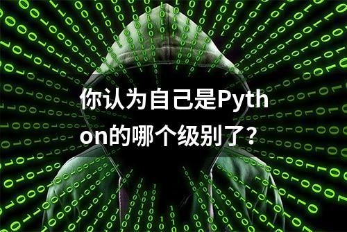 你认为自己是Python的哪个级别了？