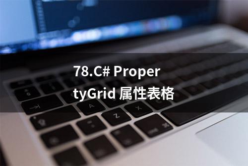 78.C# PropertyGrid 属性表格